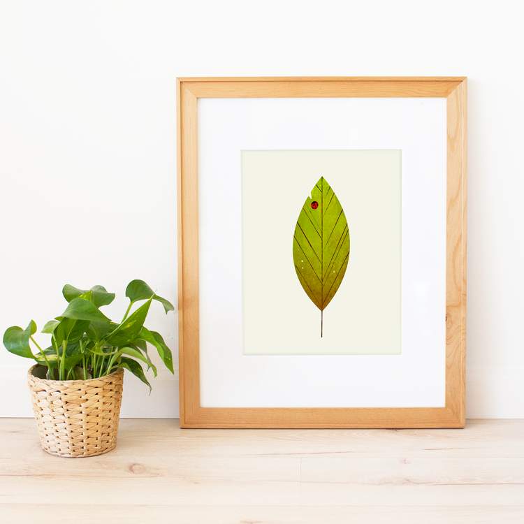 Leaf With Lady Bug Large Print