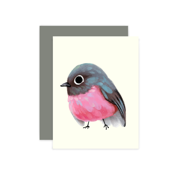 Petroica Rodinogaster Bird Card (Pink Robin)