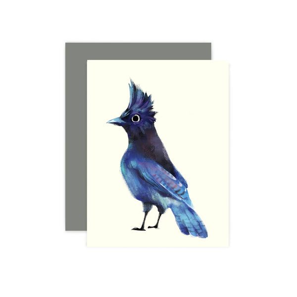 Steller's Jay Bird Card