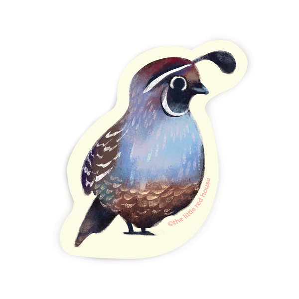 California Quail Bird Vinyl Sticker