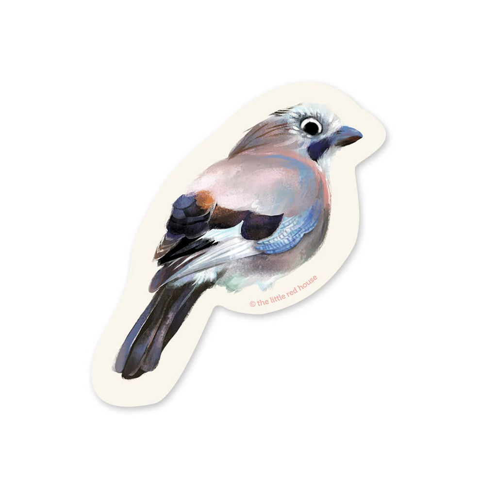 Garrulus Glandarius Bird Vinyl Sticker